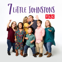 7 Little Johnstons - The Promposal artwork