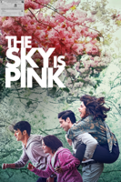 Shonali Bose - The Sky Is Pink artwork