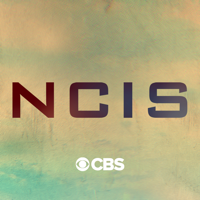 NCIS - NCIS, Season 17 artwork