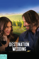 Victor Levin - Destination Wedding artwork