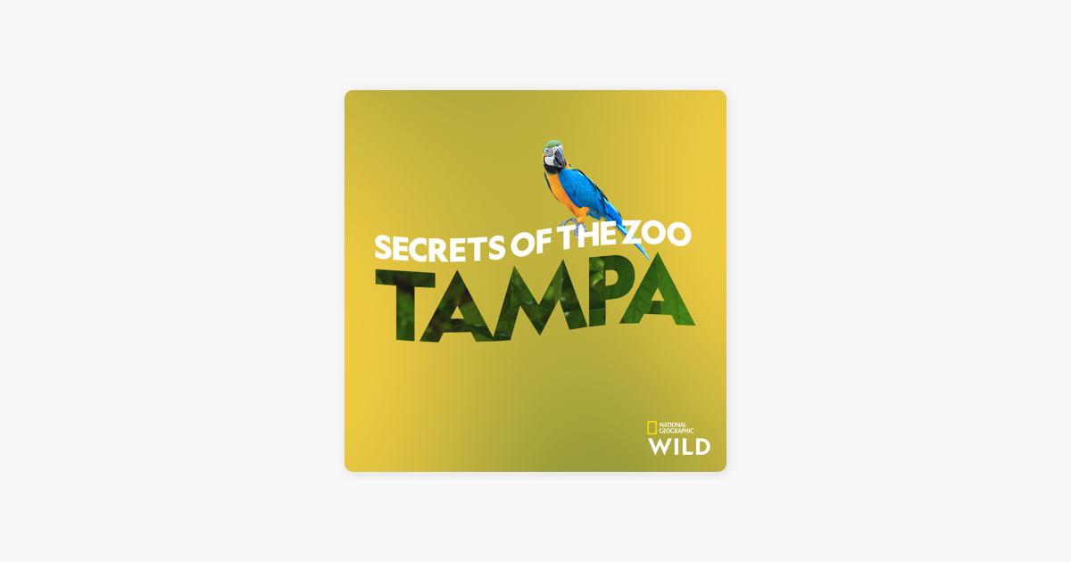 secrets of the zoo