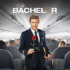 The Bachelor - 2401  artwork