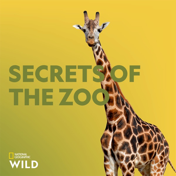 Watch Secrets of the Zoo Season 2 Episode 7: Febreze, Please Online ...