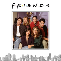 Friends - The One Where Monica Gets a Roommate (a.k.a. The One Where It All Began) artwork