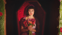 Stella Donnelly - Die artwork