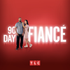 90 Day Fiancé - 90 Day Fiancé, Season 8  artwork