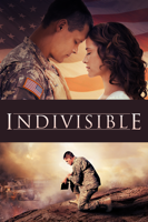 David G. Evans - Indivisible artwork