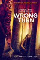 Mike P. Nelson - Wrong Turn (2021) artwork