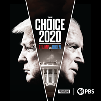 The Choice 2020: Trump Vs. Biden - The Choice 2020: Trump Vs. Biden artwork