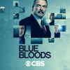 Blue Bloods - The New Normal  artwork