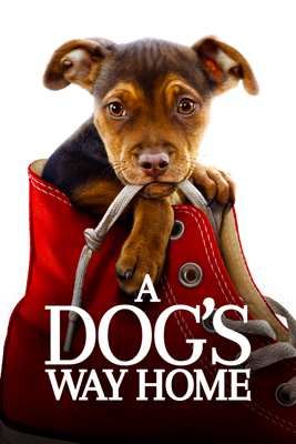 A Dog's Way Home - Charles Martin Smith A Dog's Way Home - Charles Martin Smith