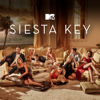 Siesta Key - A Second Tier Friend…  artwork