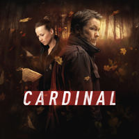 Cardinal (VF) - Cardinal, Saison 3 (VF) artwork
