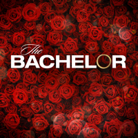 The Bachelor - The Bachelor, Season 25 artwork