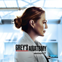Grey's Anatomy - Sorry Doesn't Always Make It Right artwork