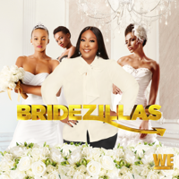 Bridezillas - $100K Wedding & GuardZilla artwork