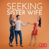 Seeking Sister Wife - Irreconcilable Differences artwork