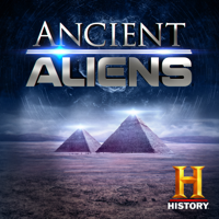 Ancient Aliens - The Space Travelers artwork