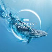 A Perfect Planet - Oceans artwork