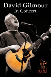 David Gilmour In Concert