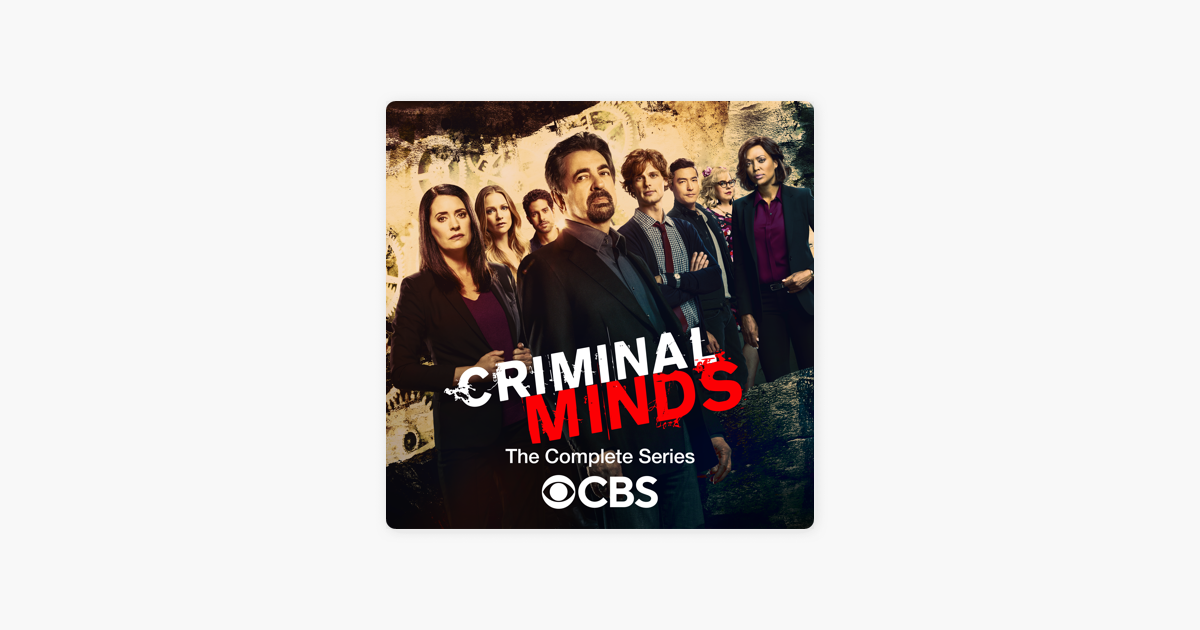 criminal minds serie completa