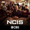 All or Nothing - NCIS