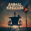 Animal Kingdom - Home Sweet Home  artwork