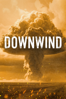 Downwind - Mark Shapiro & Douglas Brian Miller