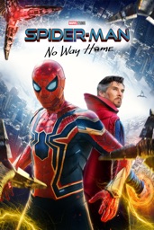 Spider-Man : No Way Home