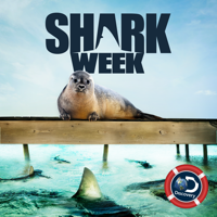 Shark Week - Shark Week, 2017 artwork