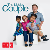 The Little Couple - Will Returns to China artwork