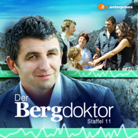 Der Bergdoktor - Der Bergdoktor, Staffel 11 artwork