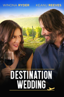 Victor Levin - Destination Wedding artwork