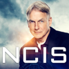 NCIS - NCIS, Season 16  artwork