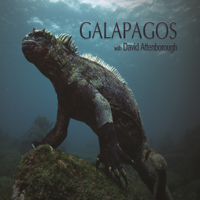 Galapagos with David Attenborough - Galapagos with David Attenborough artwork