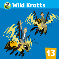 Wild Kratts - Wild Kratts, Vol. 13 artwork