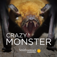 Crazy Monster - Crazy Monster, Season 1 artwork