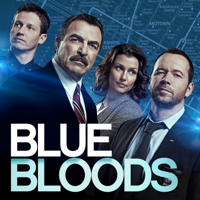 Blue Bloods - Blue Bloods, Season 8 artwork