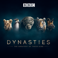 Dynasties - Chimpanzee artwork