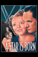 William A. Wellman - A Star is Born (1937) artwork