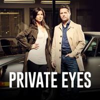 Private Eyes - Private Eyes, Season 1 artwork