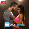 90 Day Fiancé - 90 Day Fiance, Season 6  artwork