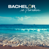 Bachelor in Paradise - Bachelor in Paradise, Season 5  artwork