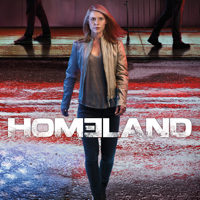 Homeland - Homeland, Season 6 artwork