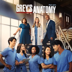Grey's Anatomy, Season 19 (subtitled)
