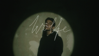 Noah Levi - Wölfe (Official Video) artwork
