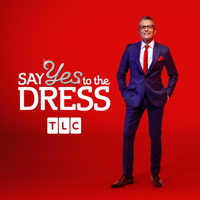 Say Yes to the Dress - This Is a Randy Situation artwork
