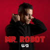 Mr. Robot - Mr. Robot, Season 4  artwork