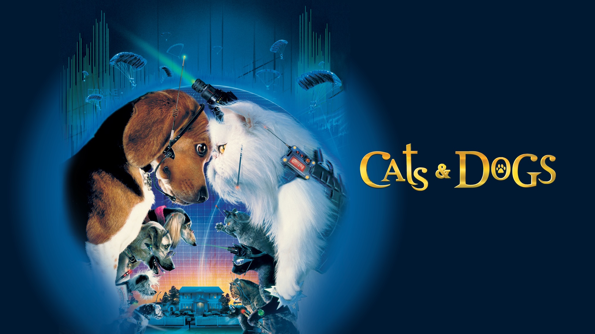 Cats & Dogs on Apple TV