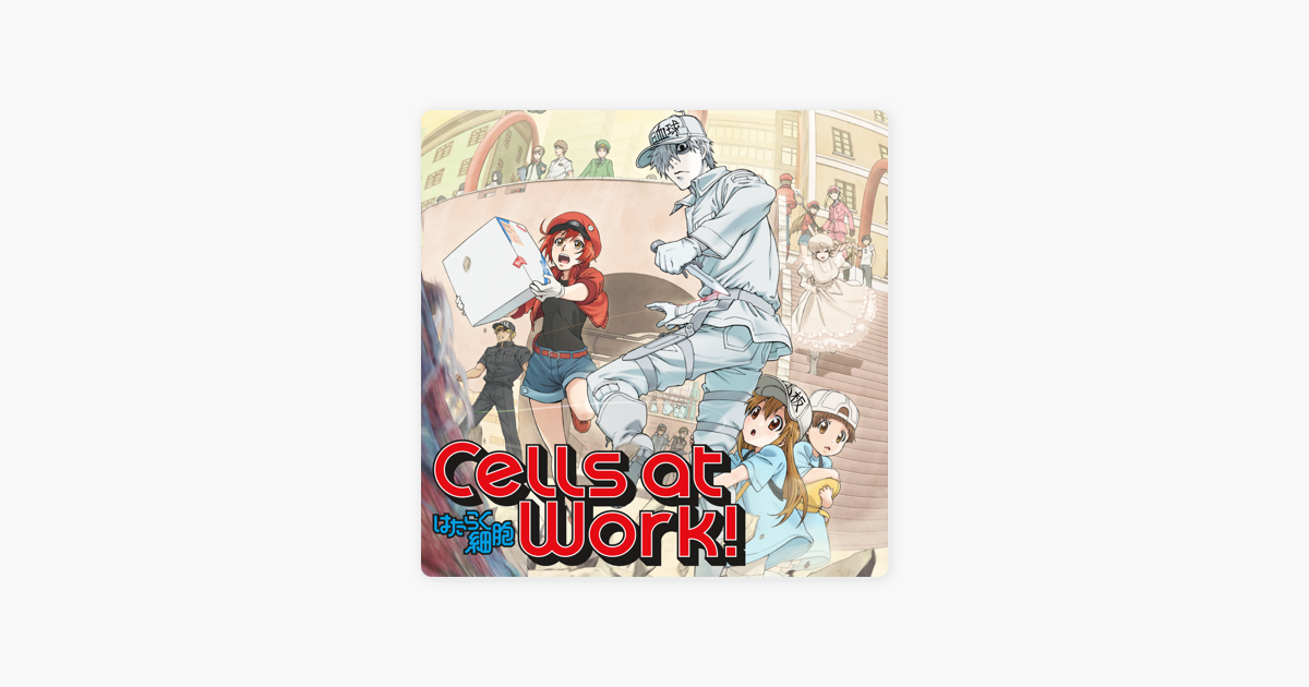 Cells At Work Episode 1 English Dub ‎Cells at Work! (English Dubbed Version), Season 1 on iTunes